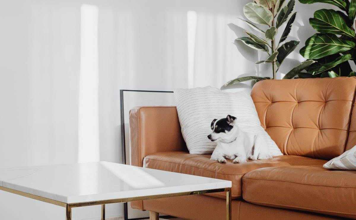 wd-furniture-blog-5-opt